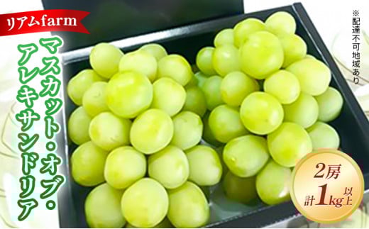 yRzy2026Ns\z Ԃǂ RY }XJbgEIuEALThA 2[iv1kgȏj s2026N7{-{oׁt  uhE t[c ʕ XC[c ʌ 