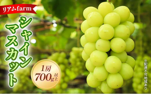 【岡山県里庄町】【2026年先行予約】 ぶどう 岡山県産 シャインマスカット 1房(700g以上) 《2026年7月下旬-8月下旬頃出荷》 葡萄 ブドウ フルーツ 果物 スイーツ 数量限定 期間限定 里庄町 リ