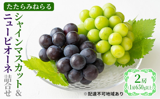 yRzy2026Ns\z Ԃǂ RY ݂˂ VC}XJbg & j[sI[l l 2[(1[650gȏ) s2026N9{-{oׁt  uhE t[c ʕ