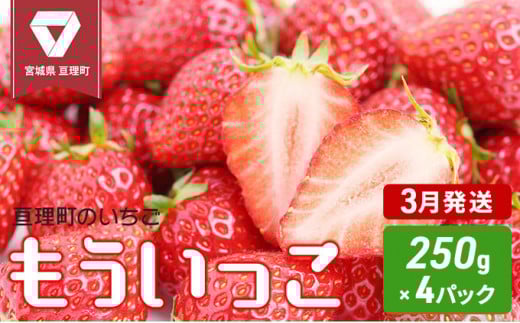 y{錧jzy3zĵ  250g×4pbN ICό聄stII ʕl t[c ʕ  C`S