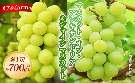 yRzy2026Ns\z Ԃǂ RY }XJbg EIuE ALThA  VC}XJbg e1[ie700gȏj 2026N7{-8{o t[c ʕ ʌ