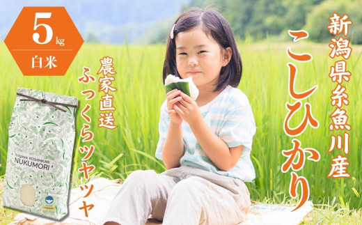 令和6年産新米予約】米 新潟県産『コシヒカリ』5kg 米・食味鑑定士お墨付き 農家自慢の逸品 