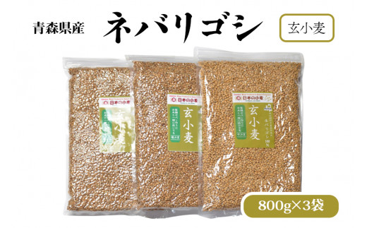 国産小麦 栽培期間中 農薬不散布 玄小麦 青森県産 ネバリゴシ 中力系 800g×3 製麺 や パン作りにおすすめ｜小麦 小麦粉 国産小麦粉  小麦粉セット パン用 パン 全粒粉 全粒小麦 [0572]