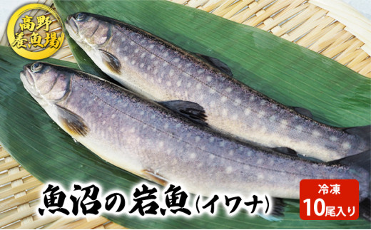 №5762-0409]魚沼の岩魚（イワナ）冷凍10尾入り - 新潟県魚沼市｜ふるさとチョイス - ふるさと納税サイト