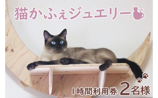 猫かふぇジュエリー 神栖市 0299-77-8558 安い