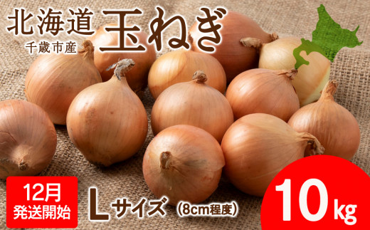 先行予約】玉ねぎ 10kg Lサイズ 北海道 千歳市産 甘い たまねぎ 野菜
