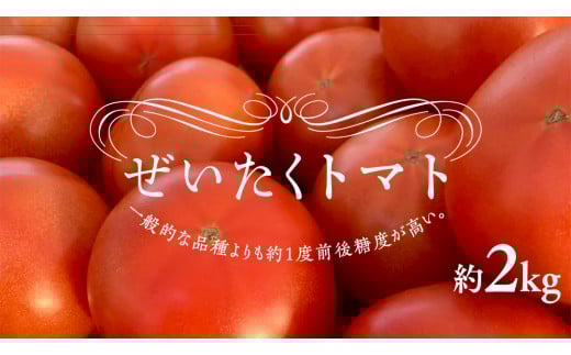 y錧΂݂炢szg}gI2kg ( 9`12 ) g}g ʃg}g VN  