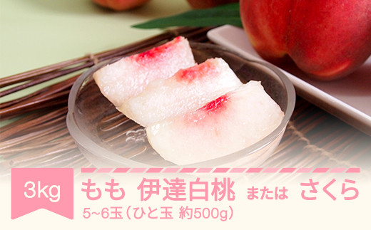 yR`Rszys\z  ɒB܂͂ 3kg ߘa8NY 2026NY ʕ t[c Mtg p  Eւ̔zs  mm-modsx3000