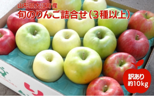 《先行予約》訳あり 旬のりんご詰合せ約10kg（サンふじ確約3種以上）【2024年12月上旬頃～発送予定】【大江町産・山形りんご・りんご専科  清野哲生】[№5823-0752]