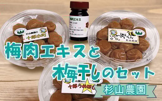 神澤農園　梅肉エキス　純国産 Amazon.co.jp: 手作り 梅肉エキス 純国産 40g : 食品・飲料・お酒