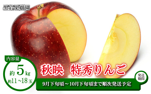 りんご様　10日 zynsyu-ourin-ringo-10kg_1.jpg