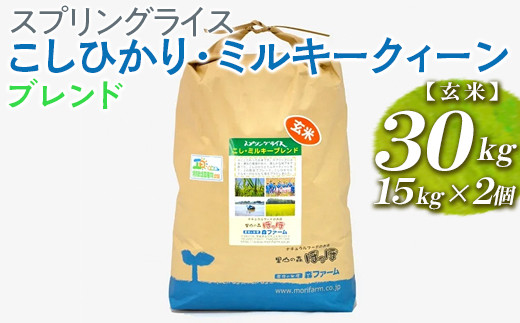 スプリングライス こしひかり・ミルキークィーン ブレンド (玄米)30kg 