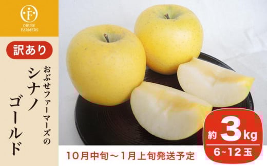 訳あり】 シナノゴールド 約3kg 6～12玉 ［おぶせファーマーズ