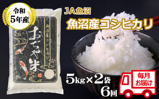 r05-123-2JA ＜令和5年産＞ 魚沼産コシヒカリ定期便 5kg2袋×6回（毎月お届け）（JA魚沼）白米 魚沼 米 定期便 -  新潟県小千谷市｜ふるさとチョイス - ふるさと納税サイト