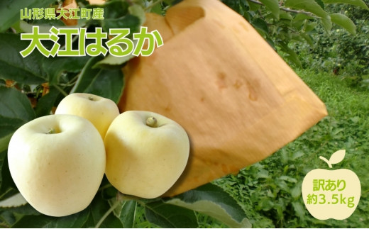 《先行予約》訳あり 大江はるか約3.5kg【2024年12月上旬頃～発送予定】【大江町産・山形りんご・りんご専科 清野哲生】[№5823-0759]