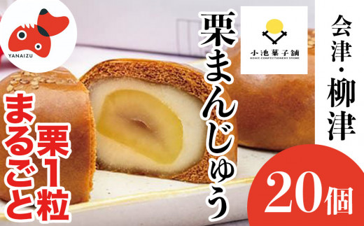 栗が丸々1個入った 食べ応え抜群「くりまんじゅう」20個入り【1447458