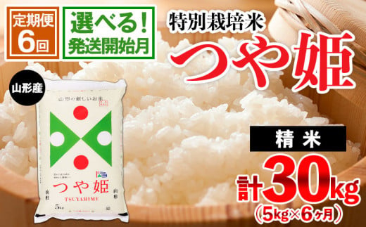 定期便6回】令和5年産米☆発送開始月が選べる☆山形産 特別栽培米 つや