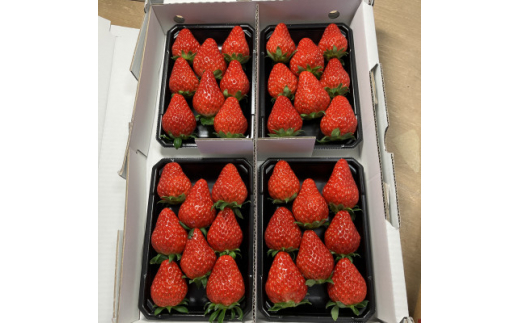 ymLszgق؁250g×4pbNy1464897z