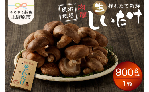 yR쌴szsʌt@ؐ 1i900gjzH_@R쌴sY@p