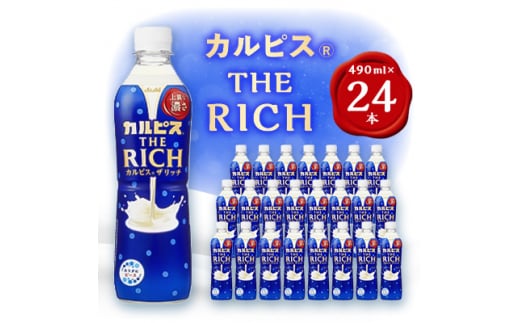 yQnٗюsz2ցJsX THE RICHxPET490ml@24{@uS6y4011134z