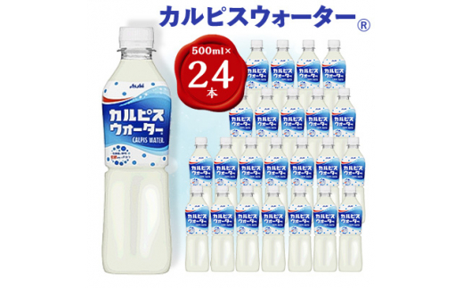 yQnٗюsz2ցwJsXEH[^[xPET500ml@24{@uS6y4011133z