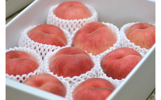 yR`Vsz08-10-020@dII()3kg