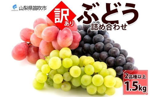 房】訳あり ぶどう 詰め合わせ 2品種以上 計1.5kg 177-018 - 山梨県笛吹市｜ふるさとチョイス - ふるさと納税サイト