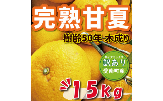 無農薬甘夏15kg 甘夏 無農薬 15キロ - メルカリ