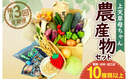 隔月定期便3回】上天草母ちゃん農産物セット 野菜・お米・加工品10種類