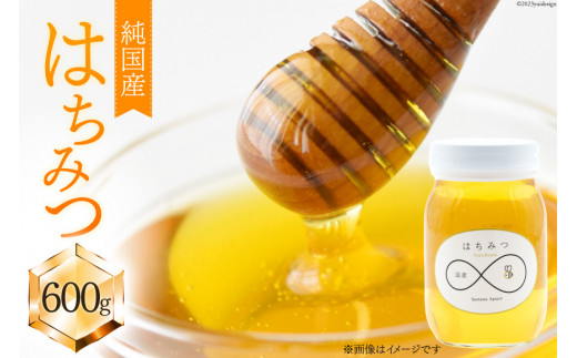 ハチミツ 600g×1 [道の駅絵本の里けんぶち 北海道 剣淵町 14656150