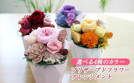 プリザーブドフラワー33点多色 セット プリザーブドフラワー33点多色 セット 楽天市場】□【ドライフラワー