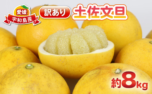 大人気　訳あり文旦　20kg 柑橘　32 楽天市場】【ふるさと納税】 早期予約受付開始 文旦 あわ地区 秀
