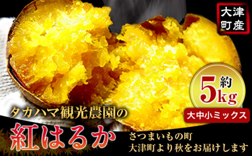 三岳　ひとり歩き　薩摩茶屋　田倉　GO GOＳＹOＴＹU 果実の香り浜小町芋 三岳 ひとり歩き 薩摩茶屋 田倉 GO GOSYOTYU 果実の香り浜小町芋