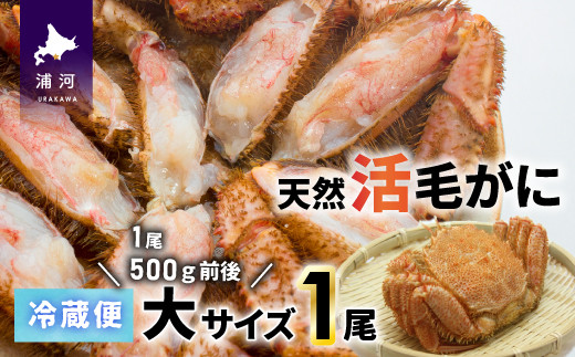 ふるさと納税 北海道 浦河町 銀聖いくら醤油漬(500g)と塩いくら(500g