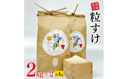 令和５年産 粒すけ 君津市産 2ｋｇｘ2袋 （4ｋｇ） | 米 こめ お米 おこめ 精米 白米 大つぶ 千葉県のブランド米 千葉県 君津市 -  千葉県君津市｜ふるさとチョイス - ふるさと納税サイト