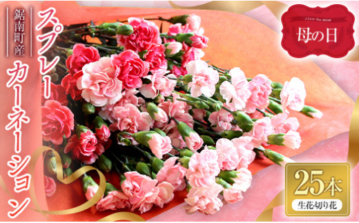 生花 カーネーション 赤 50本 50㎝切り花 カーネーション切り花赤色