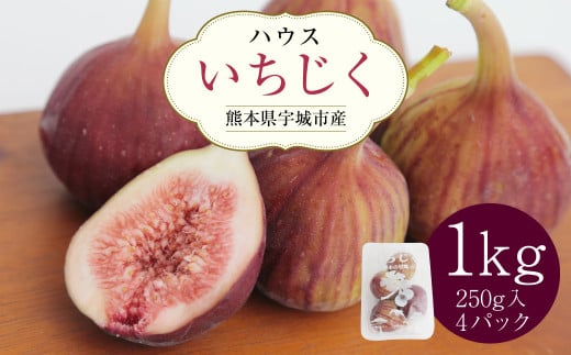 先行予約 イチジク ハウスイチジク 1kg(250g×4パック) いちじく 無花果 ハウス栽培 生 くだもの 果物 フルーツ 冷蔵 熊本県産 国産  送料無料 宇城市産ハウスイチジク 1kg（250g×4パック）【7月下旬から8月下旬発送予定】 - 熊本県宇城市｜ふるさとチョイス - ふるさと納税  ...