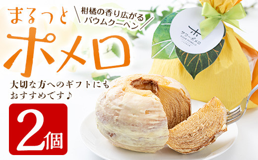 期間限定・数量限定＞木之下果樹園のサワーポメロ10kg箱バラ詰め
