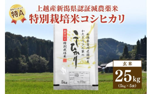 ★数量限定★令和5年産・新潟県上越市吉川区国田産・新潟県認証米/特別栽培米コシヒカリ玄米25kg（5kg×5袋）