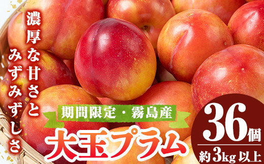唐織満桜文(額装) 値下げしました19000→18000
