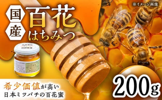 コクと味わい深い甘み】 日本蜜蜂 百花 はちみつ 200g 純粋蜂蜜 /永尾 忠則 [UAS003] 蜂蜜 ハチミツ 日本ミツバチ - 佐賀県武雄市｜ ふるさとチョイス - ふるさと納税サイト