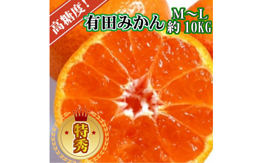 ya̎Ra̎RszLc݂mGiM~LAxn10kg!m2025N1012{n