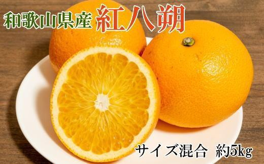 ya̎R쒬zm󏭕ina̎RYg5kgiTCYj2026NP{菇ms\nmTM88n