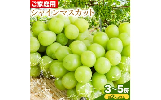 ご家庭用 シャイン マスカット 3～5房 (合計2kg以上)【配送不可地域あり】 OEC KINGDOMぶどう家 《8月下旬-10月中旬頃出荷》岡山県  浅口市 ぶどう 果物 - 岡山県浅口市｜ふるさとチョイス - ふるさと納税サイト