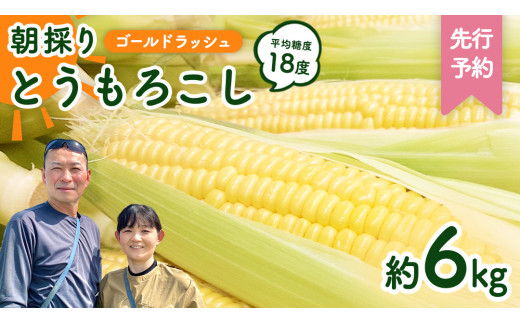 先行予約 令和7年 6月下旬 以降発送 】 朝採り とうもろこし （ ゴールドラッシュ ） 約 6kg トウモロコシ スイートコーン コーン 野菜  産地直送 期間限定 極甘 岩田さん 昼めし旅 [AX019ya] - 茨城県八千代町｜ふるさとチョイス - ふるさと納税サイト