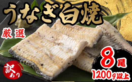 訳あり うなぎ 白焼き 8尾 150g以上 × 8本入 計1200g 以上 ( 鰻 さんしょう 入り 本格 うなぎ 8匹 冷蔵 鰻 しらやき 白焼  うな丼 うな重 ひつまぶし 人気 惣菜 海鮮 贈答用 プレゼント 贈り物 ギフト 滋賀県 竜王町