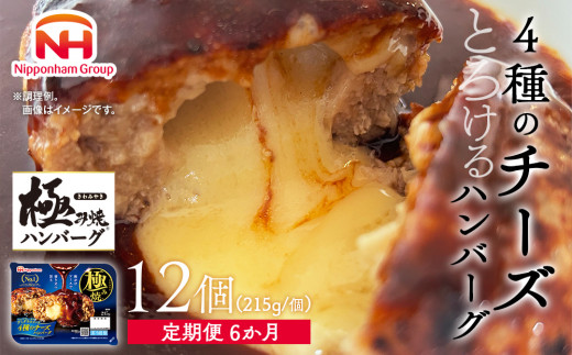 定期便】極み焼きハンバーグ（4種のチーズソース）セット定期便6か月 定期便 - 茨城県常総市｜ふるさとチョイス - ふるさと納税サイト