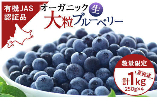 ブルーベリー 数量限定 大粒 有機 無農薬 冷蔵 オーガニック 250g 4パック 1kg 千歳市産 【ベリーファーム】  北海道千歳市｜ふるさとチョイス ふるさと納税サイト