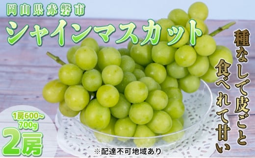 ぶどう 2025年 先行予約 ご家庭用 シャイン マスカット 2房 1房600g～700g 8月下旬～9月中旬発送分 ブドウ 葡萄 フルーツ 果物 岡山  赤磐市産 農マル園芸 あかいわ農園 - 岡山県赤磐市｜ふるさとチョイス - ふるさと納税サイト