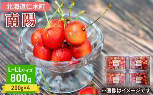 ykCmؒzst  z 800gi200g×4jL-LLTCY TN{ `F[ t[c ʕ ʕ kC mؒ m [˔_]